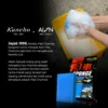 AION Sponge Car Washing