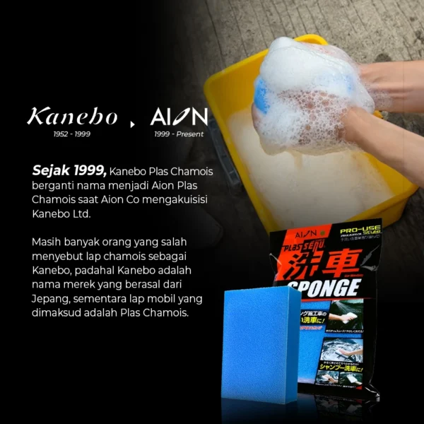 AION Sponge Car Washing